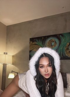 Cin Dy - Transsexual escort in Pattaya Photo 12 of 18