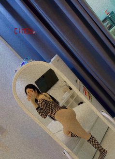 Cindy🇹🇭 1 months alain - puta in Al Ain Photo 4 of 6