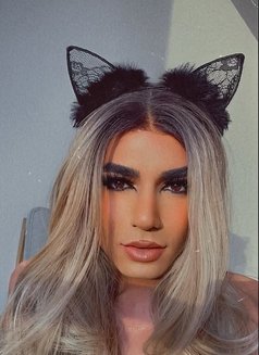 🇧🇷Cindy @cindybunny_ Instagram - Transsexual escort in Dubai Photo 10 of 14