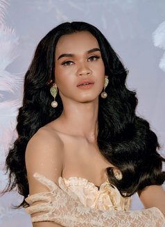 Cindy - Transsexual escort in Davao Photo 3 of 4