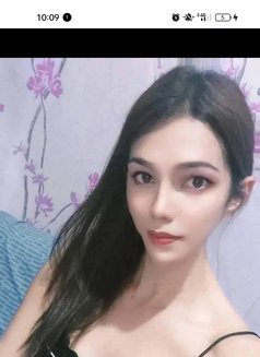 Cindy - Transsexual escort in Manila Photo 2 of 3