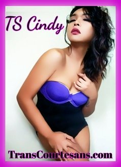 Transexual Cindy