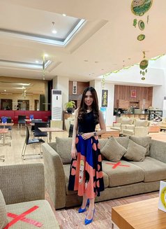 CINDY HIGH Fresh and playful - puta in Jakarta Photo 10 of 12