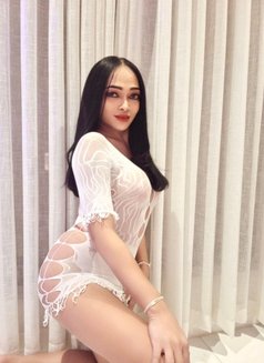 CINDY Ladyboy From Thailand 🇹🇭 - Transsexual escort in Riyadh Photo 10 of 14