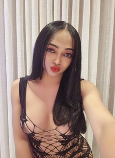 CINDY Ladyboy From Thailand 🇹🇭 - Transsexual escort in Riyadh Photo 13 of 14