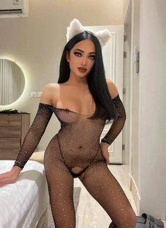 CINDY Ladyboy From Thailand 🇹🇭 - Acompañantes transexual in Riyadh Photo 2 of 8