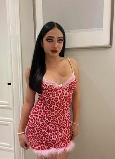 CINDY Ladyboy From Thailand 🇹🇭 - Acompañantes transexual in Riyadh Photo 7 of 8