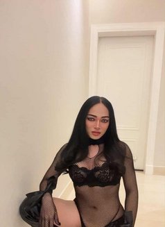 CINDY Ladyboy From Thailand 🇹🇭 - Transsexual escort in Riyadh Photo 10 of 13