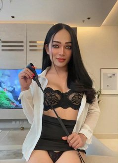 CINDY Ladyboy From Thailand 🇹🇭 - Transsexual escort in Riyadh Photo 11 of 13