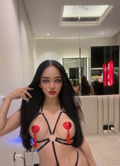 CINDY Ladyboy From Thailand 🇹🇭 - Transsexual escort in Riyadh Photo 20 of 20