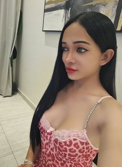 CINDY Ladyboy From Thailand 🇹🇭 - Acompañantes transexual in Riyadh Photo 25 of 26
