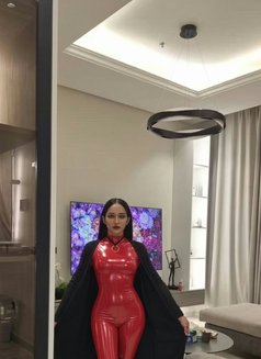 CINDY Ladyboy From Thailand 🇹🇭 - Transsexual escort in Riyadh Photo 12 of 14