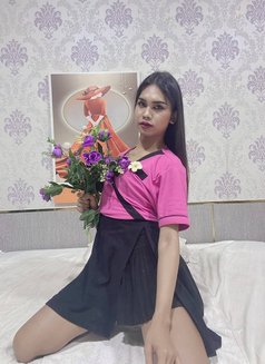 Cindy New Ladyboy Thailand - Transsexual escort in Ajmān Photo 3 of 7