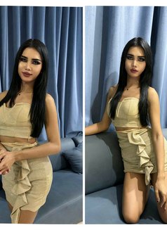 Cindy New Ladyboy Thailand - Transsexual escort in Ajmān Photo 4 of 7