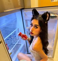 Cindy Laphisara - Transsexual escort in Bangkok