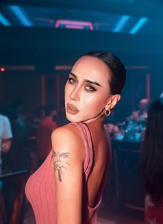 Cindy Laphisara - Transsexual escort in Bangkok Photo 2 of 12