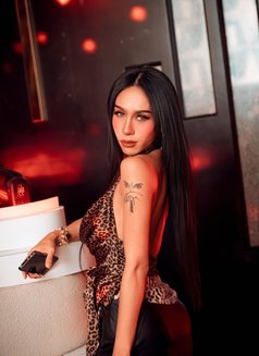 Cindy Laphisara - Transsexual escort in Bangkok Photo 8 of 12