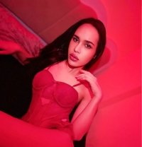 Cindy Ladyboy Thailand🇹🇭 - Transsexual escort in Muscat