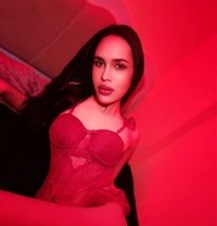 Cindy Ladyboy Thailand🇹🇭 - Transsexual escort in Muscat