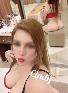 Cindy NEW SWEET LATINA GFE - escort in Muscat Photo 5 of 9