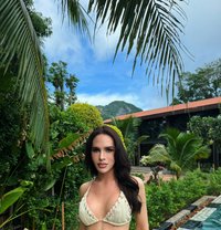 Cindy Sexy999 - Transsexual escort in Muscat