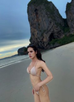 Cindy Sexy999 - Transsexual escort in Muscat Photo 4 of 6