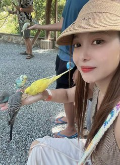Cindy Strawberry - escort in Boracay Photo 11 of 22