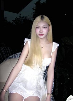 cindy - Transsexual escort in Bangkok Photo 19 of 19