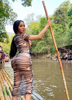 Cindy - Transsexual escort in Phuket Photo 14 of 14