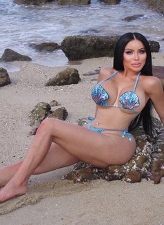 Cindy - Transsexual escort in Phuket Photo 2 of 21