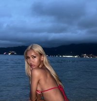 Cindy - Transsexual escort in Phuket