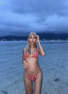 Cindy - Transsexual escort in Taipei Photo 20 of 24