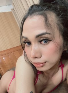 Cindy Yu - Transsexual escort in Kuala Lumpur Photo 2 of 5