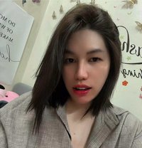 Ashley fFox Fox - Transsexual escort in Fujairah