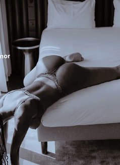 3somes & Lesshows - escort agency in Kampala Photo 19 of 29