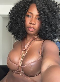 Clara - escort in Frankfurt Photo 2 of 3