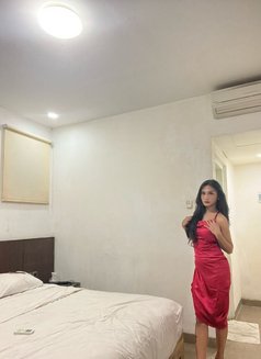 Clara Fox - Transsexual escort in Bali Photo 8 of 12