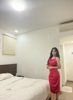 Clara Fox - Transsexual escort in Bali Photo 12 of 12