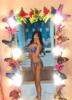 Clara Fox - Acompañantes transexual in Bali Photo 22 of 24