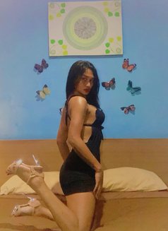 Clara Fox - Transsexual escort in Bali Photo 23 of 25
