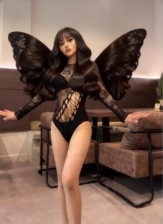 Clara Fox - Transsexual escort in Bali Photo 11 of 11