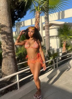 Clara - escort in Dubai Photo 4 of 5