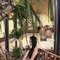 Clara - companion in Bali Photo 4 of 7