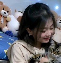 Clara - escort in Jakarta