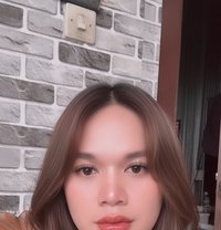 Clara Ladyboy - Transsexual escort in Bali