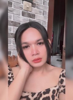 Clara Ladyboy - Transsexual escort in Bali Photo 2 of 2