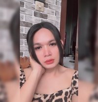 Clara Ladyboy - Transsexual escort in Bali