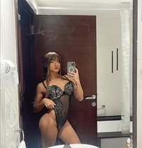 Clara Sabriana - Transsexual escort in Amsterdam