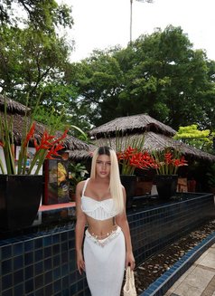 Clara - Transsexual companion in Phuket Photo 11 of 15