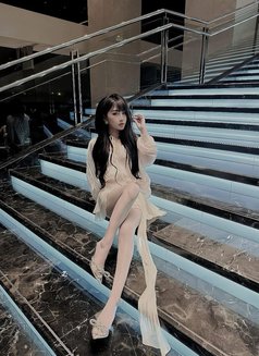 Clarisse - escort in Tirana Photo 1 of 6